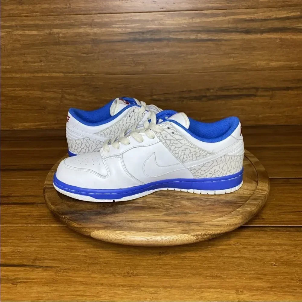 Jordan 1  Nike dunks hybrid vintage from 2006